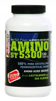 AminoST5300-120 copy copy.jpg